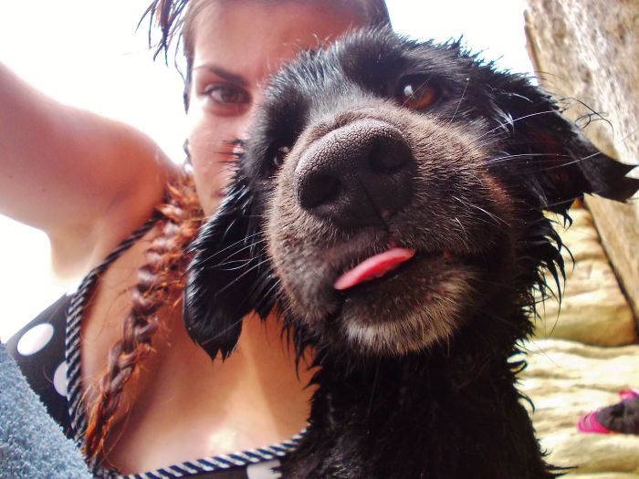 My Dog Duke After His Firts Bath In The Sea!