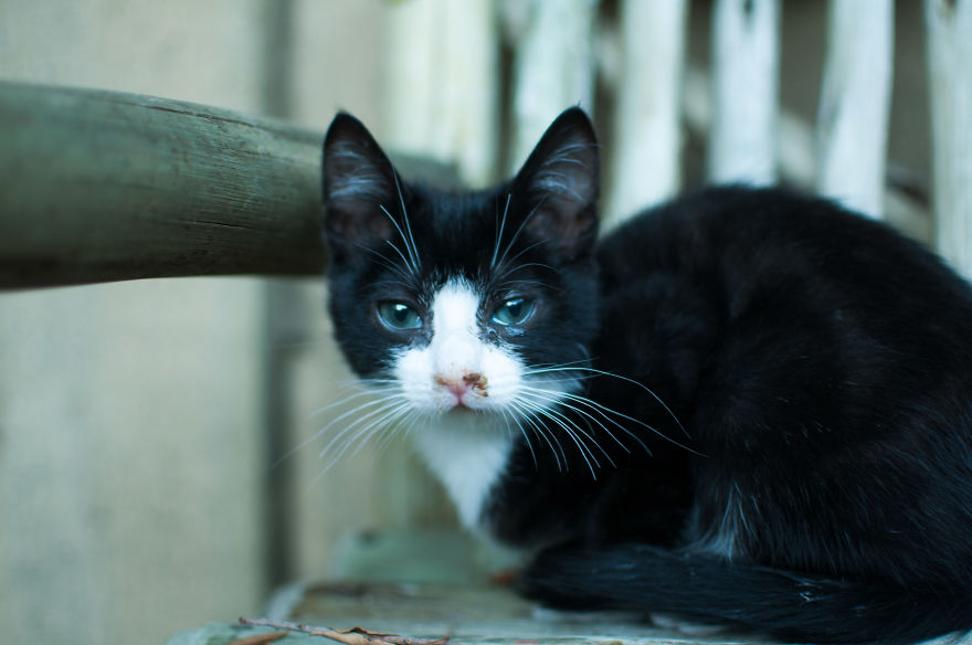 I'd Like You To Meet Chuck I'd Like You To Meet Chuck