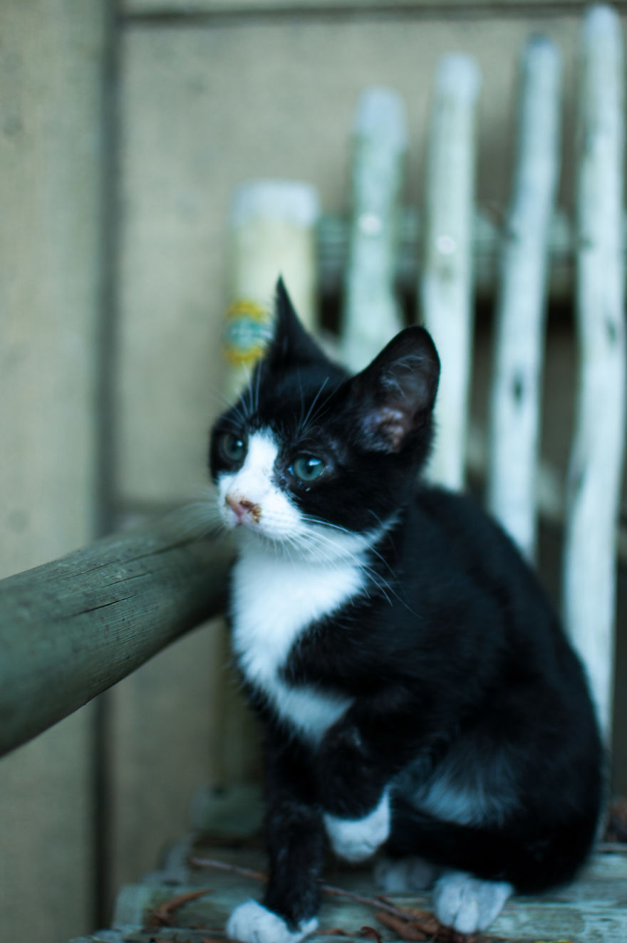 I'd Like You To Meet Chuck I'd Like You To Meet Chuck