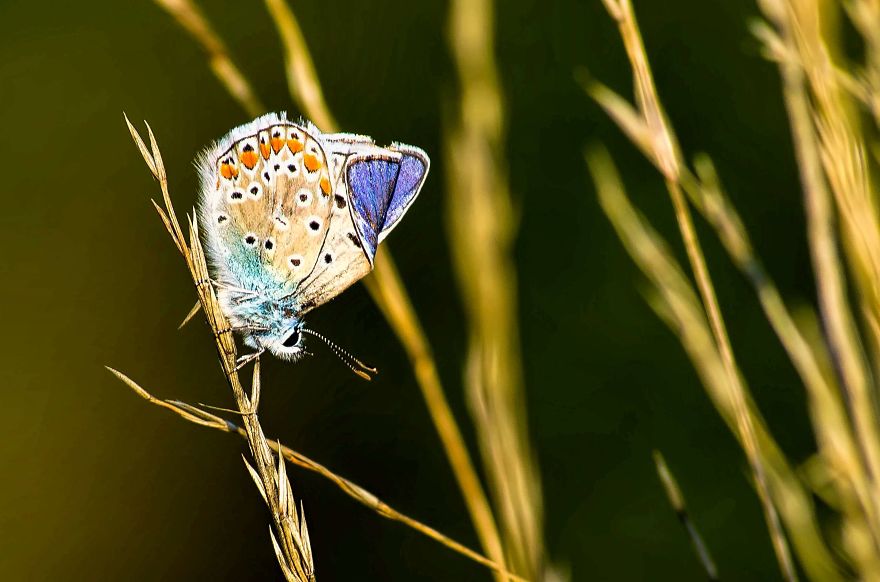 I Lurk Around The House Photographing The Little Things
