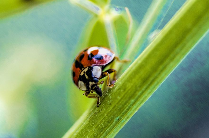 I Lurk Around The House Photographing The Little Things