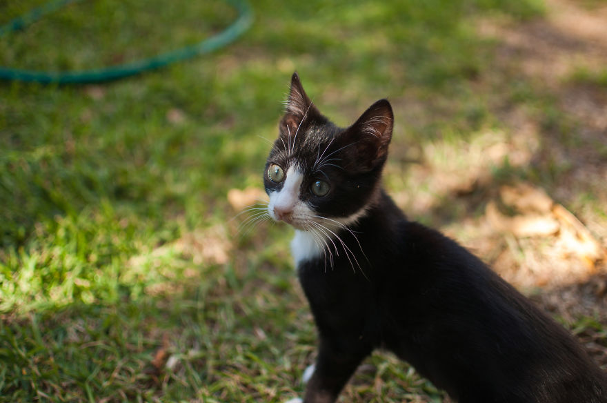 I'd Like You To Meet Chuck