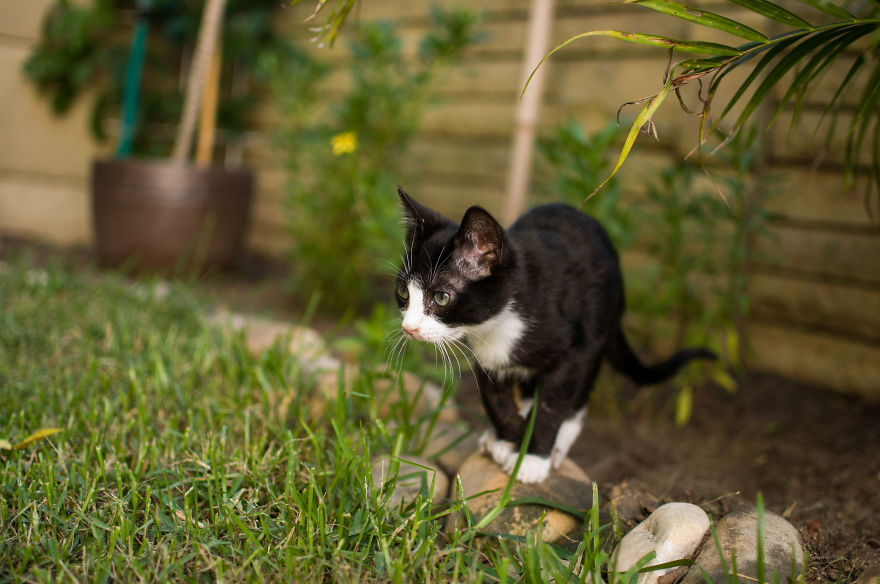 I'd Like You To Meet Chuck