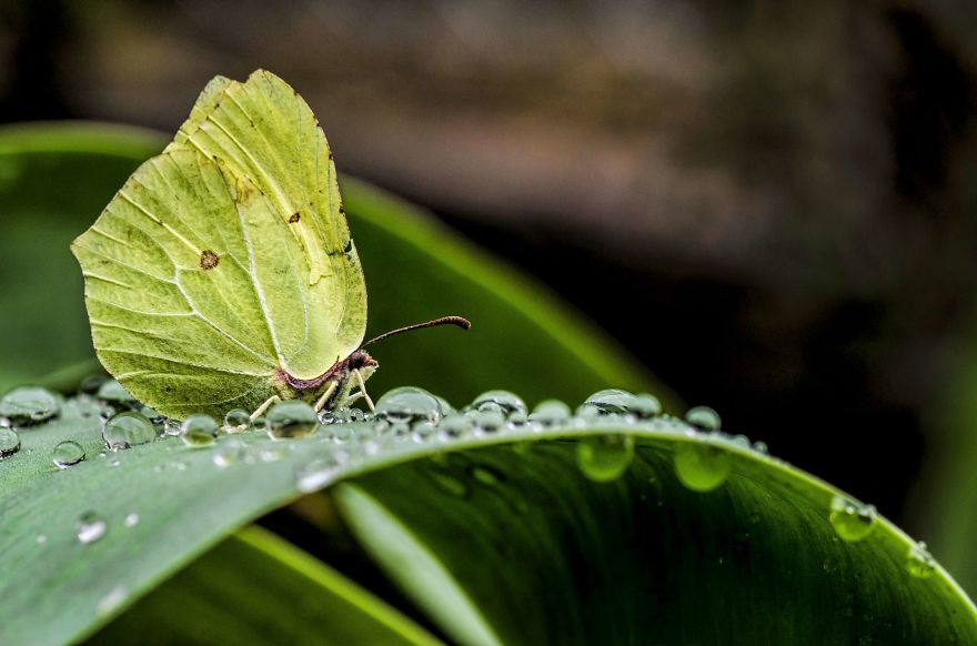 I Lurk Around The House Photographing The Little Things