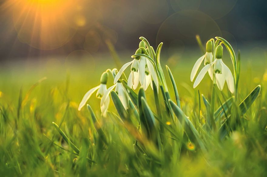 I Lurk Around The House Photographing The Little Things