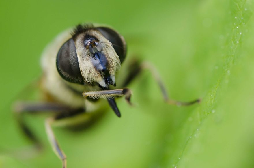 I Lurk Around The House Photographing The Little Things