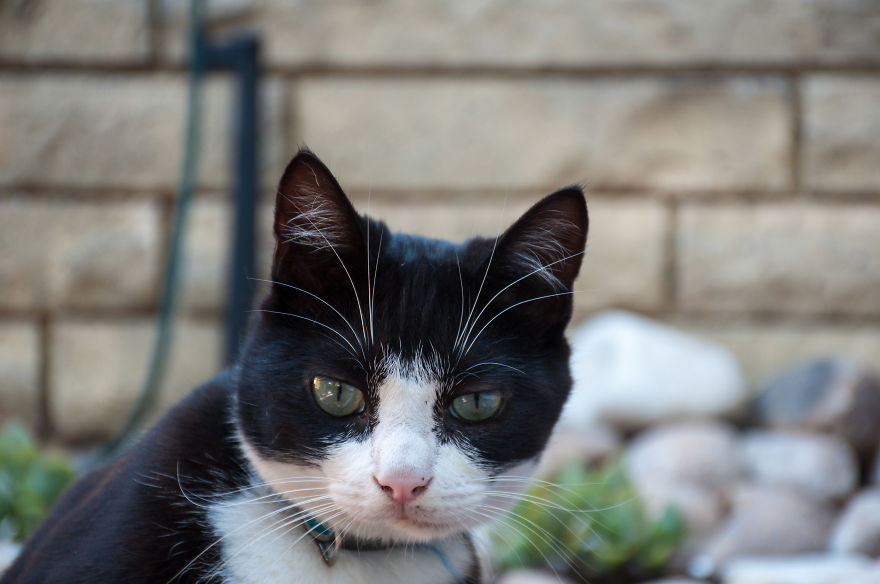 I'd Like You To Meet Chuck I'd Like You To Meet Chuck