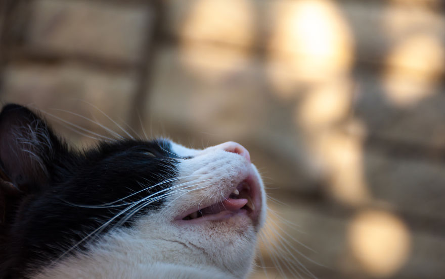 I'd Like You To Meet Chuck I'd Like You To Meet Chuck