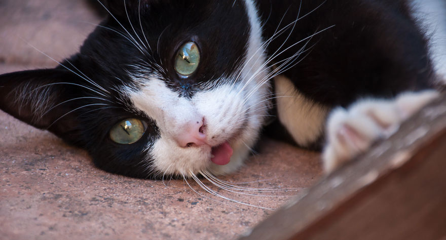 I'd Like You To Meet Chuck I'd Like You To Meet Chuck