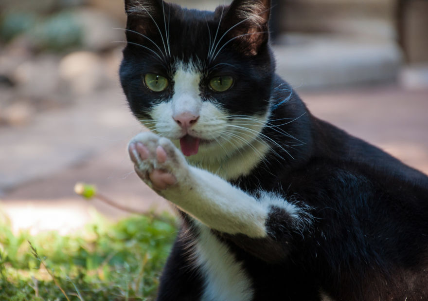 I'd Like You To Meet Chuck I'd Like You To Meet Chuck