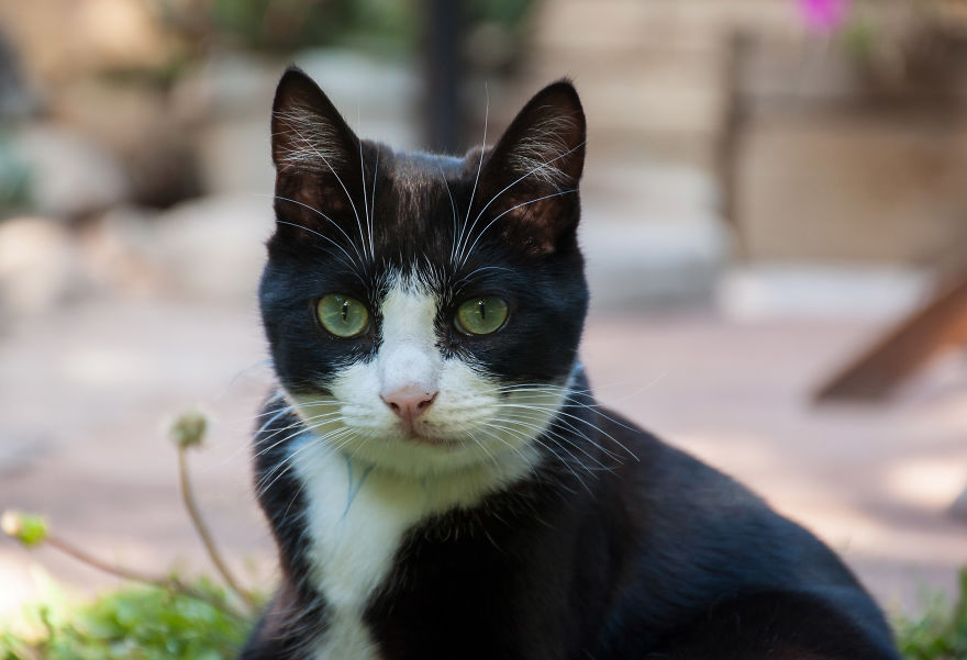 I'd Like You To Meet Chuck