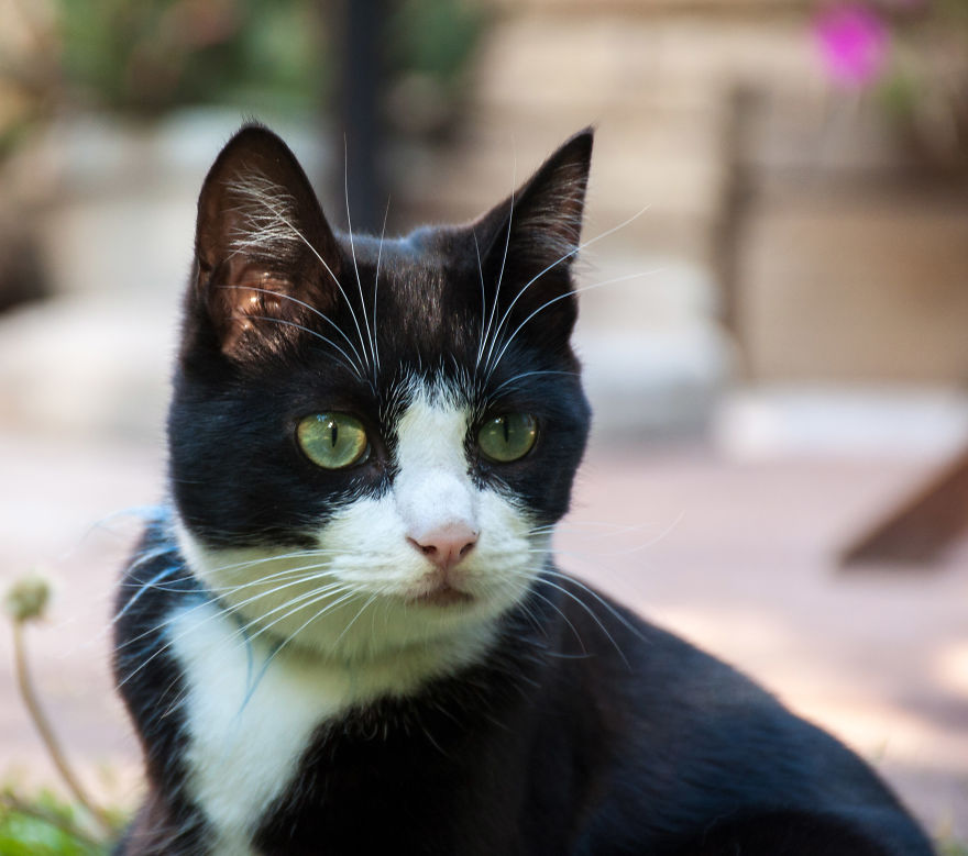 I'd Like You To Meet Chuck I'd Like You To Meet Chuck