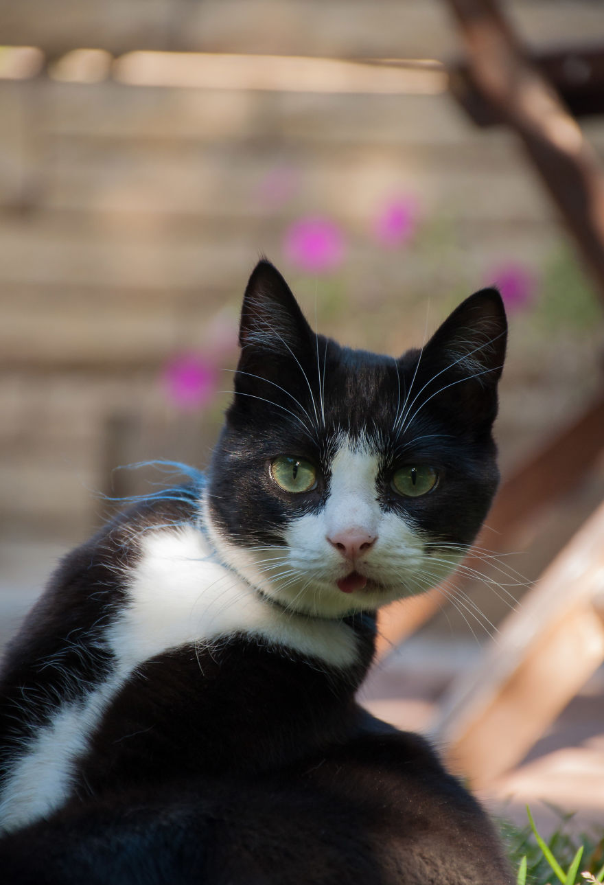 I'd Like You To Meet Chuck