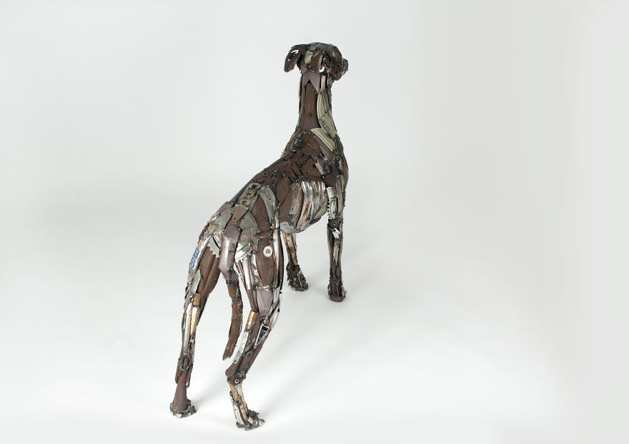 I Recycled Old Bicycles Into A Whippet