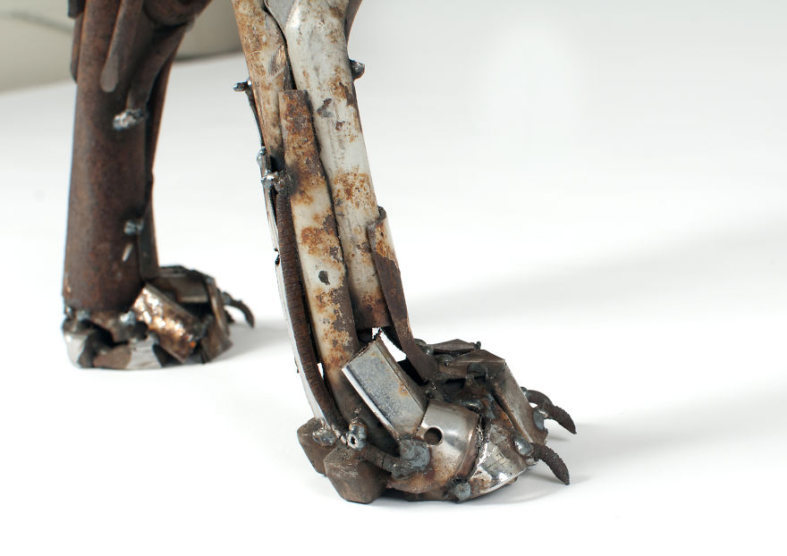 I Recycled Old Bicycles Into A Whippet