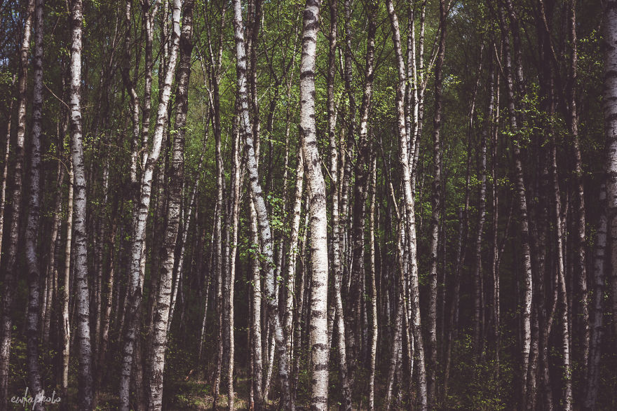 I Capture The Most Beautiful And Inspirational Places In Poland