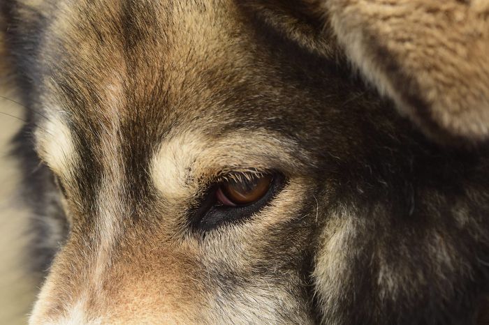 A Glimpse Of Sadness