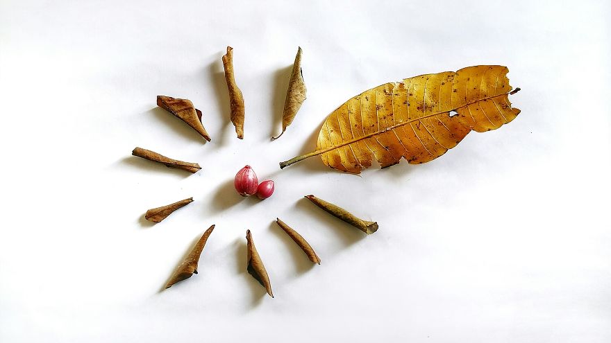 I Use Colorful Objects Around Home To Channel My Creative Concepts I Use Colorful Objects Around Home To Channel My Creative Concepts