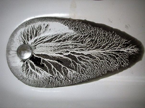 What The Plumber Left In Our Bathtub After He Was Gone...