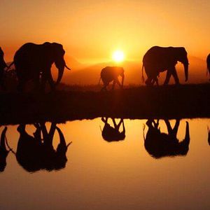 littlelucy430 avatar