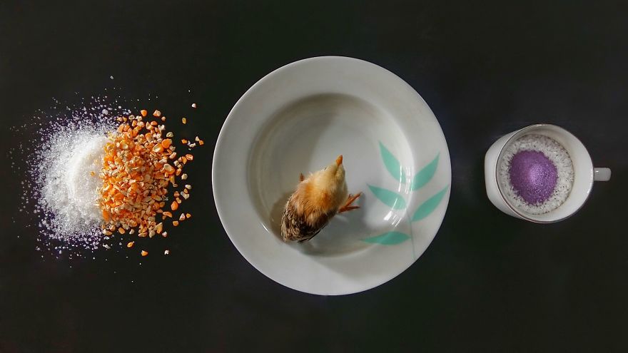 I Use Colorful Objects Around Home To Channel My Creative Concepts I Use Colorful Objects Around Home To Channel My Creative Concepts