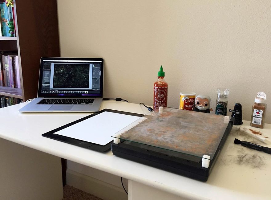 Space Scenes That I Made By Scanning Food With A Photo Scanner Space Scenes That I Made By Scanning Food With A Photo Scanner