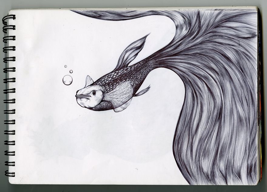 I Draw Detailed Animal Sketches Using Black Ball Point Pens