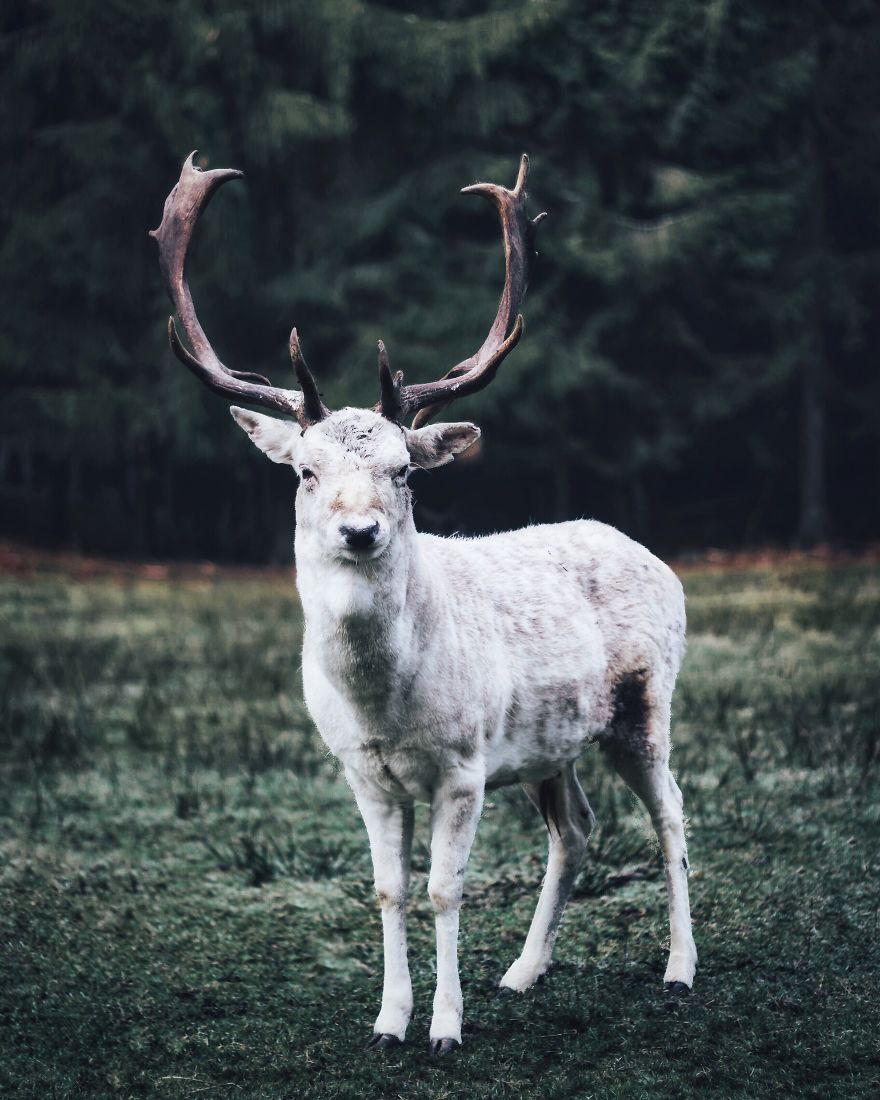 My Landscape Photos Will Make You Want To Quit Your Job And Travel The World My Landscape Photos Will Make You Want To Quit Your Job And Travel The World