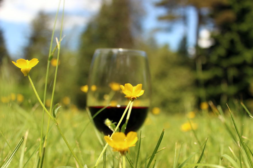 Georgian Wine Not Only Good To Drink