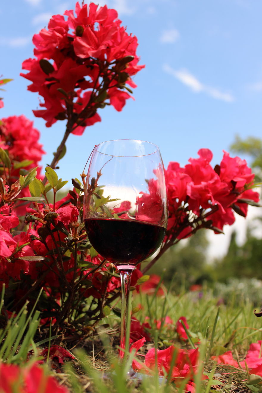 Georgian Wine Not Only Good To Drink