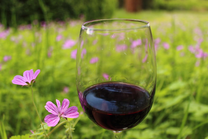 Georgian Wine Not Only Good To Drink