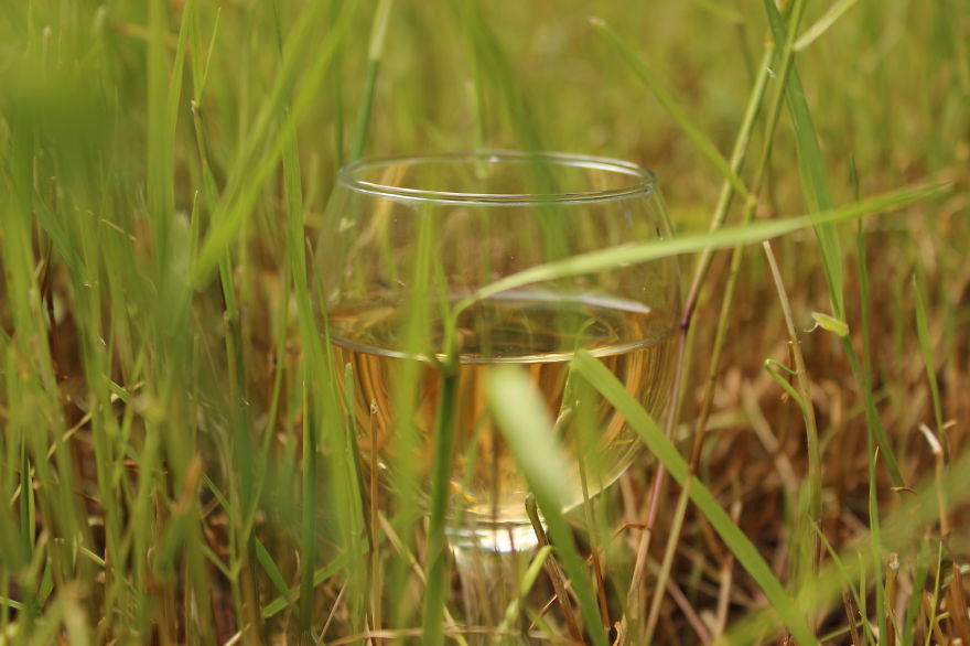 Georgian Wine Not Only Good To Drink Georgian Wine Not Only Good To Drink