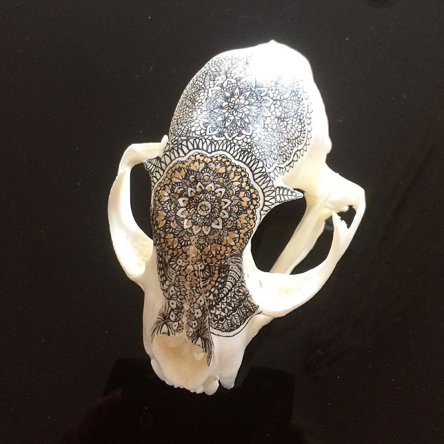 I Decorate Skulls With Golden Mandalas To Honour Fallen Creatures I Decorate Skulls With Golden Mandalas To Honour Fallen Creatures