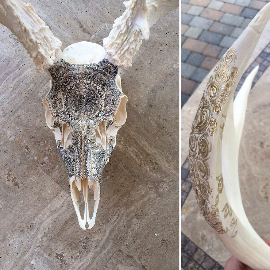 I Decorate Skulls With Golden Mandalas To Honour Fallen Creatures I Decorate Skulls With Golden Mandalas To Honour Fallen Creatures