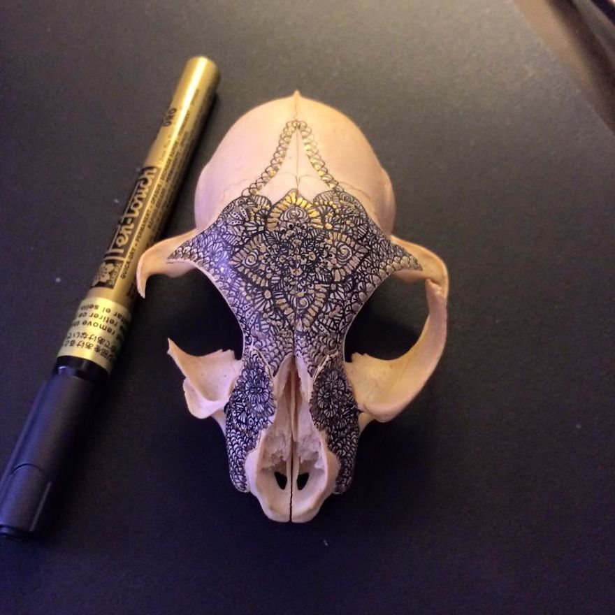 I Decorate Skulls With Golden Mandalas To Honour Fallen Creatures I Decorate Skulls With Golden Mandalas To Honour Fallen Creatures