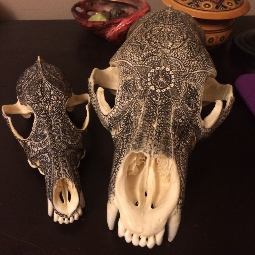I Decorate Skulls With Golden Mandalas To Honour Fallen Creatures I Decorate Skulls With Golden Mandalas To Honour Fallen Creatures