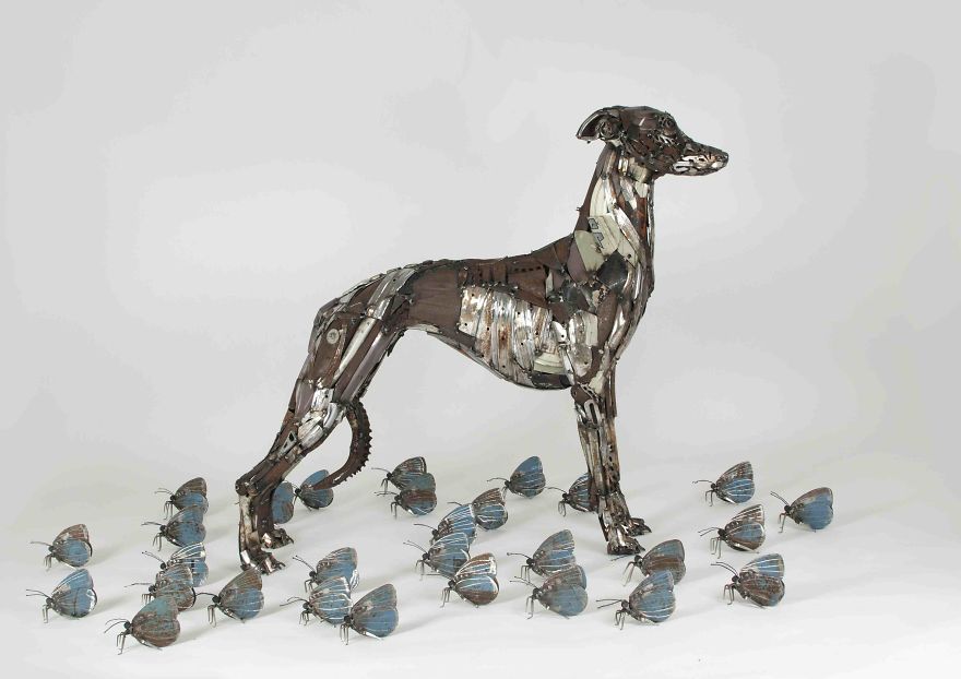 I Recycled Old Bicycles Into A Whippet