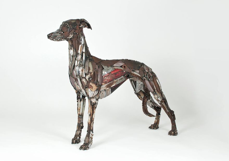 I Recycled Old Bicycles Into A Whippet