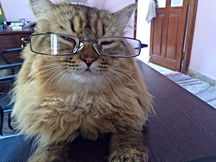 "i Never Expected This Kind Of Behaviour From You!!"