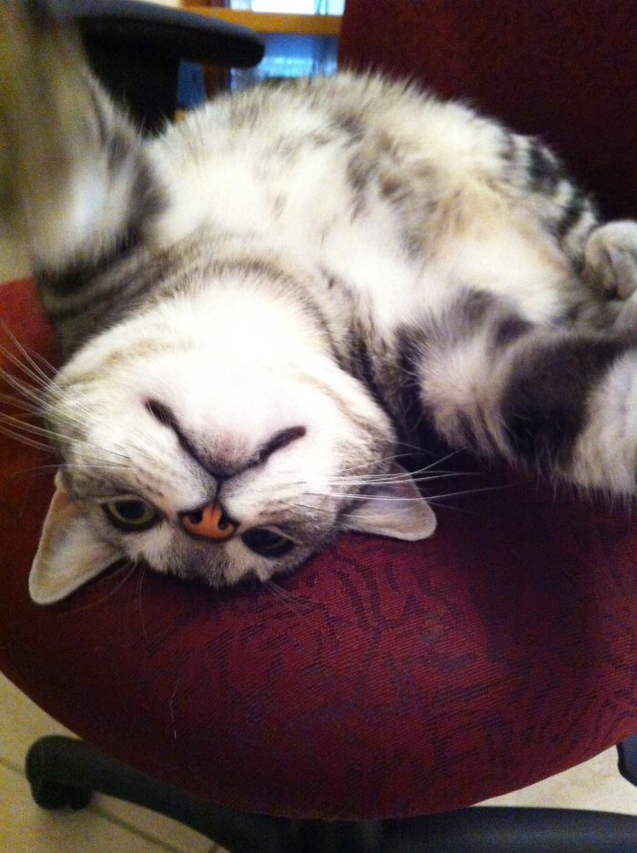 #18 Grabbing The Camera