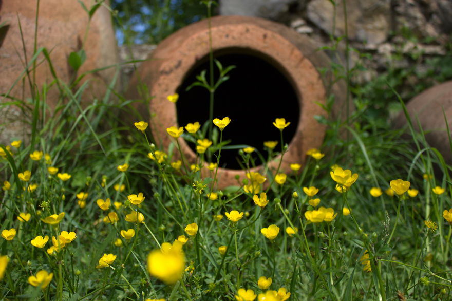 Georgian Wine Not Only Good To Drink Georgian Wine Not Only Good To Drink