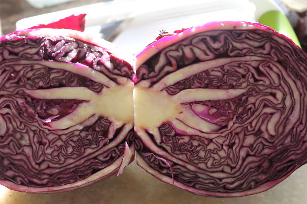 Red Cabbage