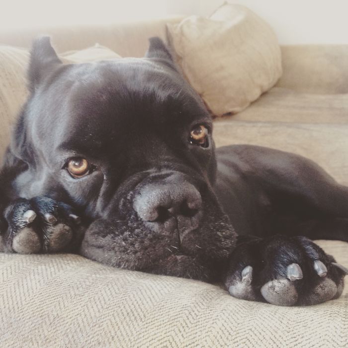 Maxcimus - My Best Friend!