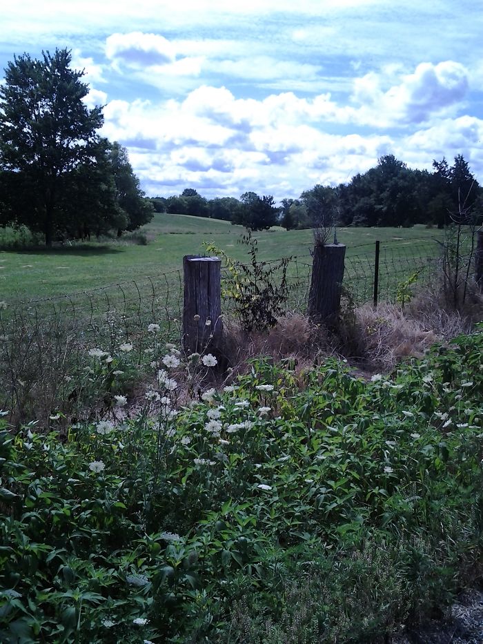 Southern Illinois Farmland.