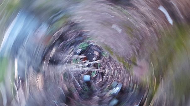 Accidental Garden Shot