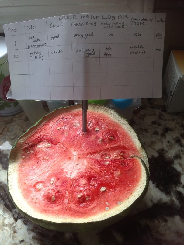 I Asked My Husband To Clean Up The Kitchen From Old Fruit And Veg..