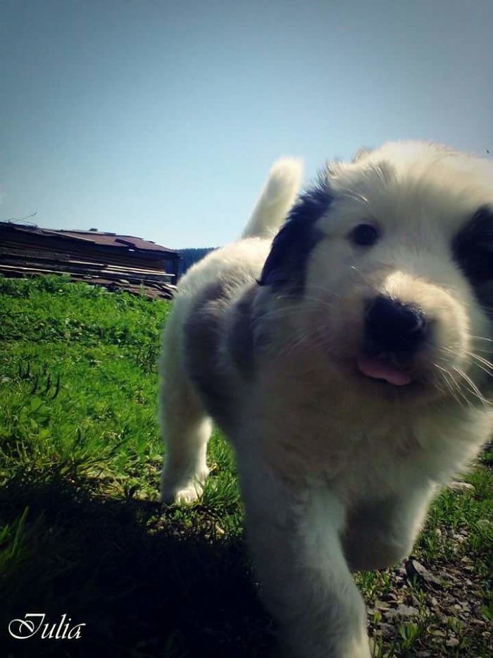 Hei , Are You Taking A Photo ? ????