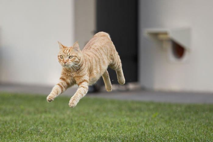 Look Mom I Can Fly! I'm Superricky!!!