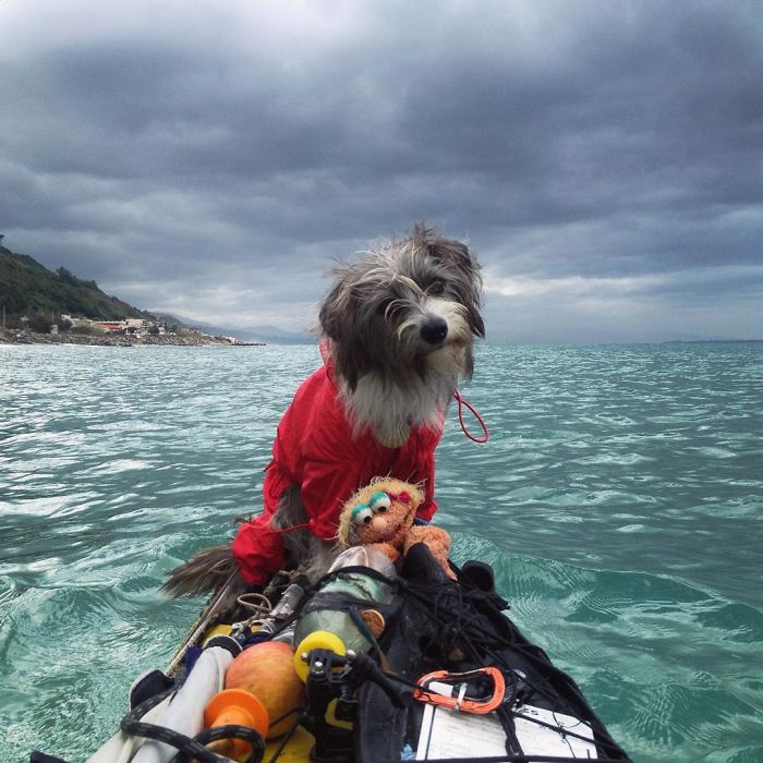 I Quit My Job To Kayak The Mediterranean Sea And Took A Dog (3 Years & 5000km So Far)