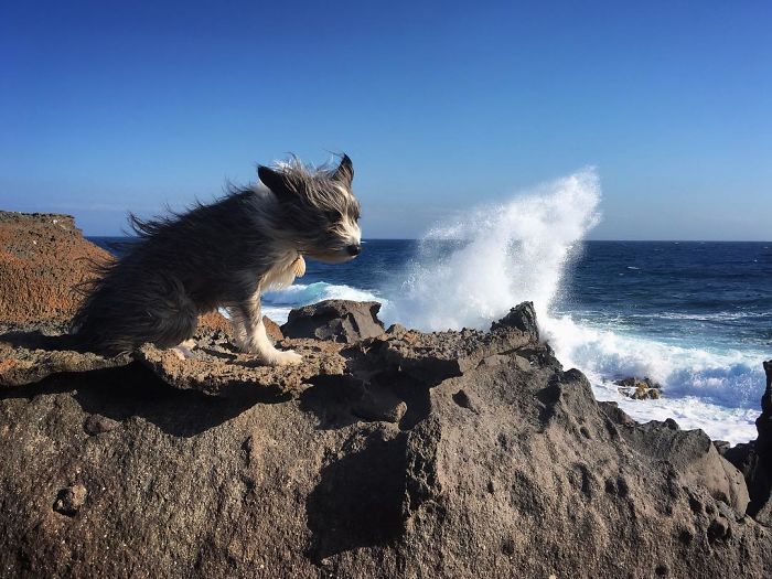 I Quit My Job To Kayak The Mediterranean Sea And Took A Dog (3 Years & 5000km So Far)